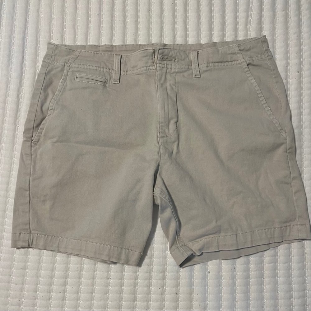 Sun + Stone Khaki Shorts (Like New)